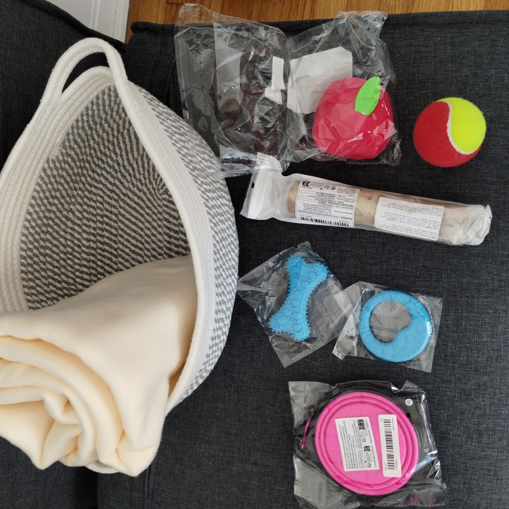 Pet Toy and Blanket Set
